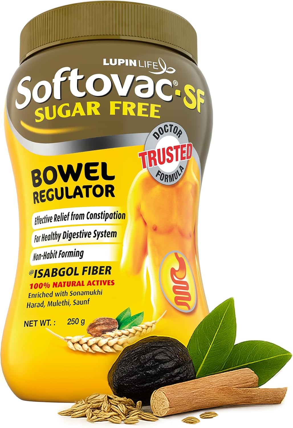 (Sugarfree) Bowel Regulator 250g - 100% Natural Actives: High Fiber Formula enriched with Sonamukhi, Harad, Mulethi, Saunf etc.